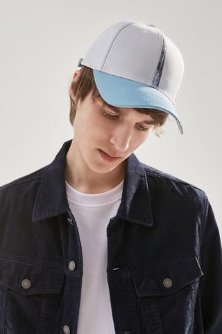 Chinese Art Chrysanthemum