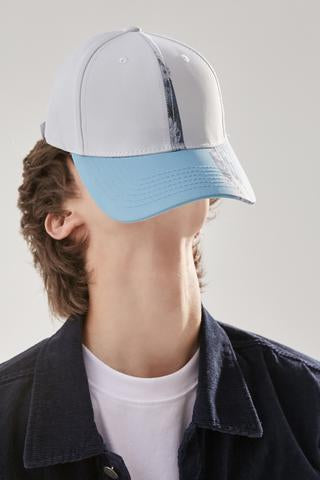 Chinese Art Chrysanthemum