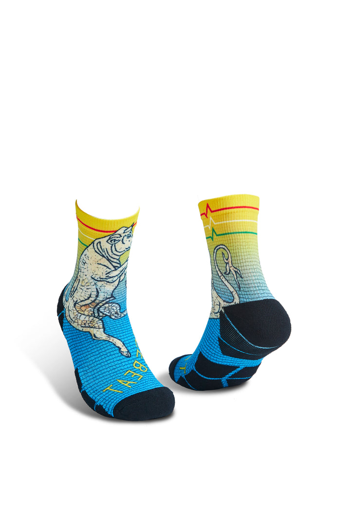 Ciao Printed Sports Socks