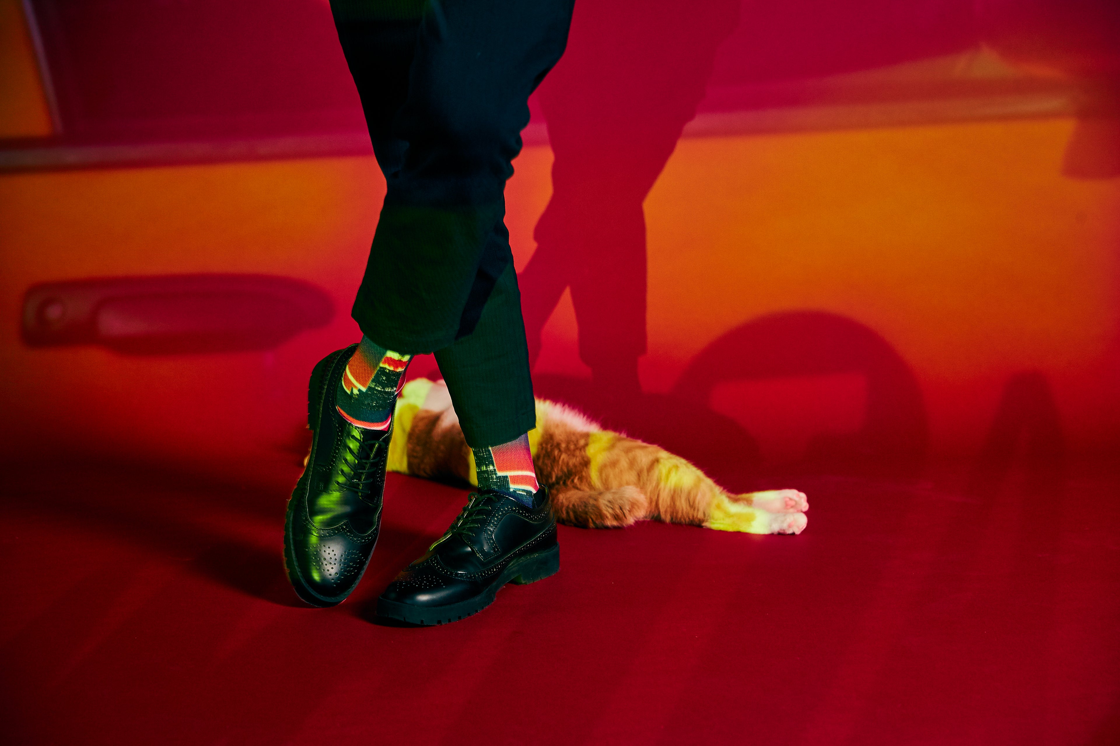 Empire State Printed Sports Socks