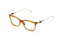 CLOY HAVANA