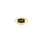 THE EYE-BROOCH