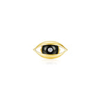 THE EYE-BROOCH
