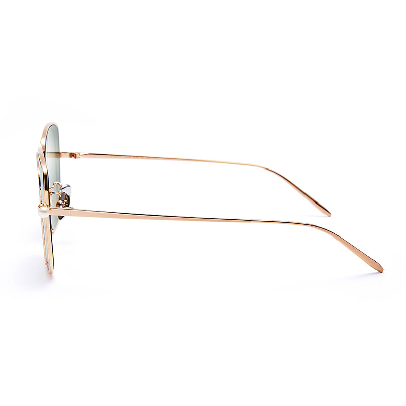 UNDERSTANDING 1 BROWN